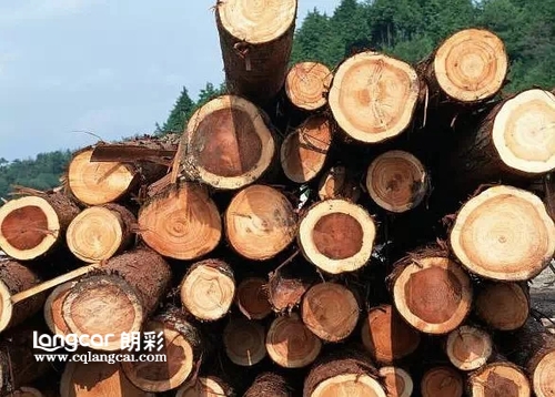 重庆朗彩木门：樱桃木